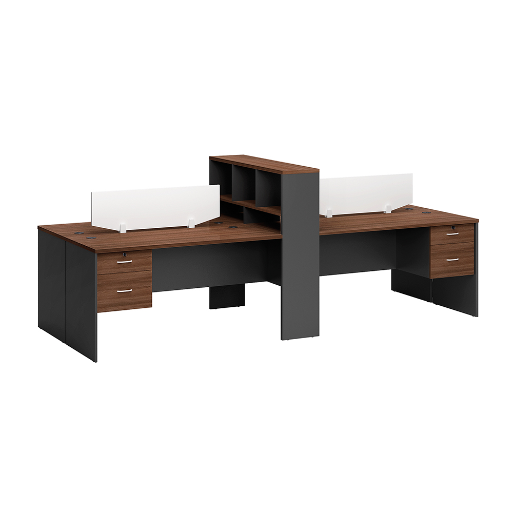 Two Person Workstation Desk