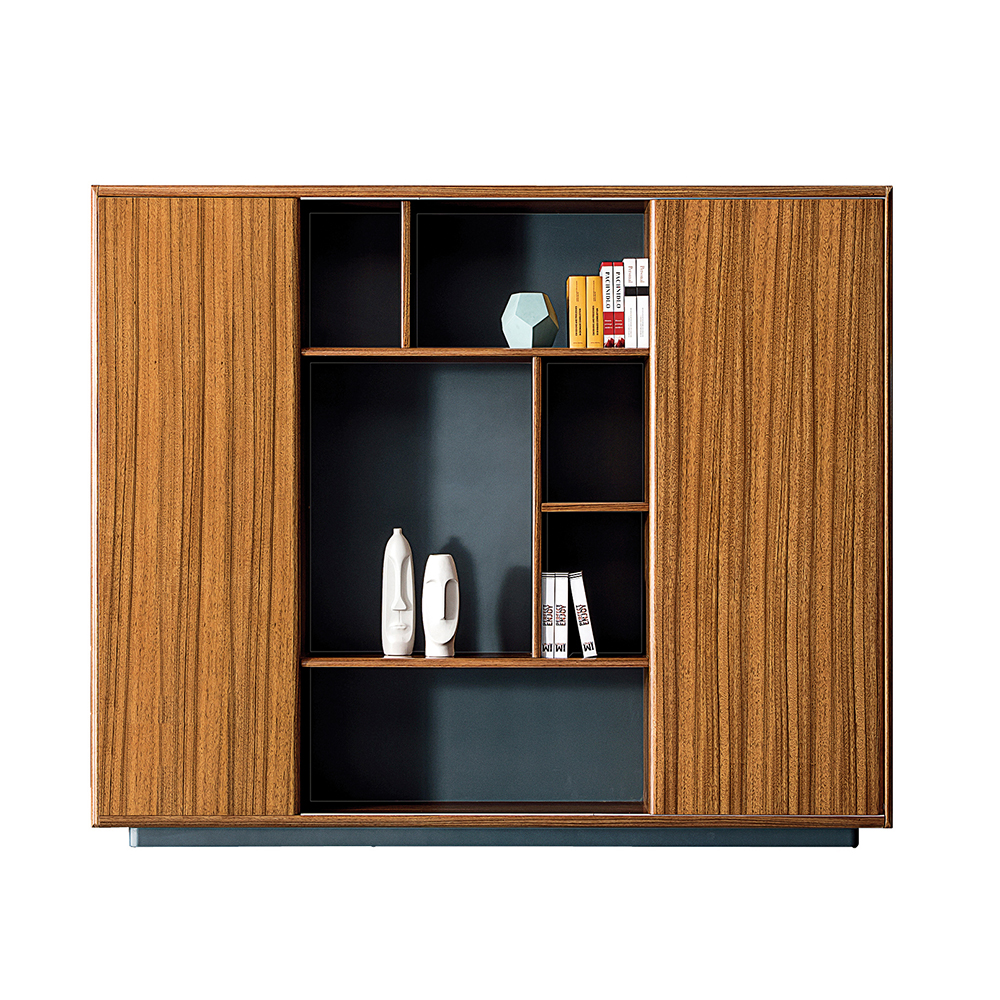 Modern Custom Made Bookshelves with Doors